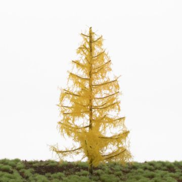 Silhouette Larch - Late fall - 17-22cm (279-54)