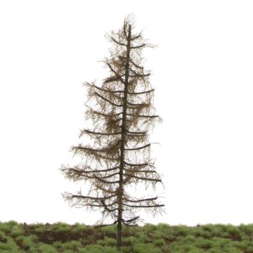 Silhouette Larch - Winter - 17-22cm (279-50)