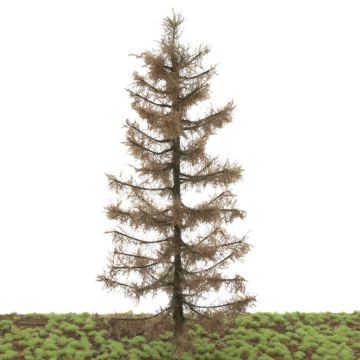 Silhouette Larch - Winter - 25-29cm (285-000-1)