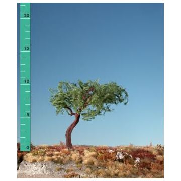 Silhouette Mountain pine - Summer - 0 (< ca. 8cm) (271-02)