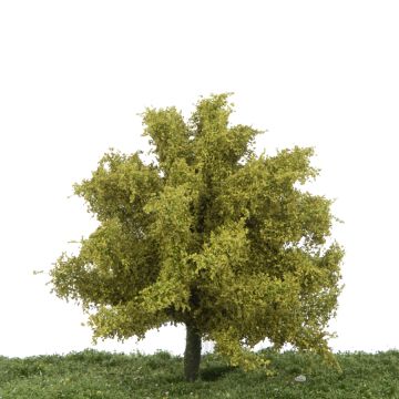 Silhouette Lime - Spring - 3 (ca. 22-29cm) - 1:45+ (242-31)