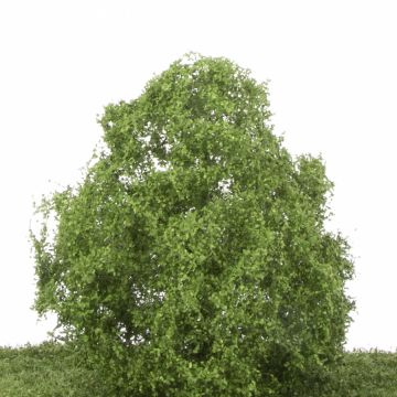 Silhouette Lime - Summer - 1 (ca. 10-13cm) - N / Z (242-12)