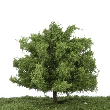 Silhouette Lime - Summer - 3 (ca. 22-29cm) - 1:45+ (242-32)