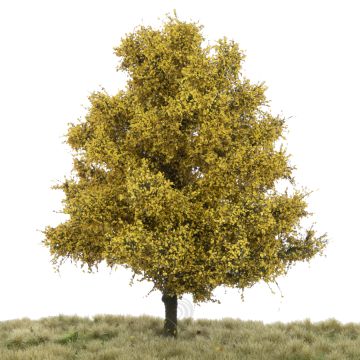 Silhouette Lime - Late fall - 17-22cm (242-54)