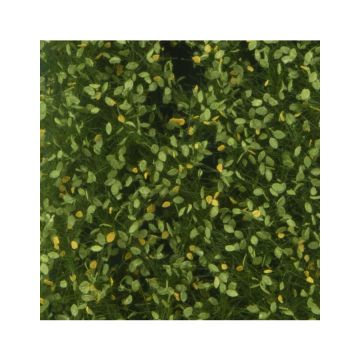 Silhouette Linde foliage - Early Fall - ca. 50 x31,5 cm - H0 / TT (942-23H)