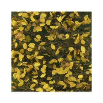 Silhouette Linde foliage - Late Fall - ca. 50 x31,5 cm - 1:45+ (942-34H)