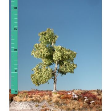 Silhouette Moor birch - Early fall - ca. 16cm - H0 / TT (310-23)