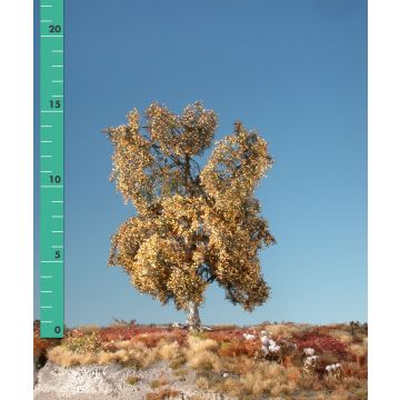 Silhouette Moor birch - Late fall - ca. 16cm - H0 / TT (310-24)