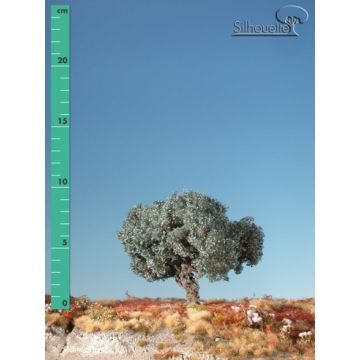 Silhouette Olive tree - Summer - 0 (< ca. 8cm) (245-02)