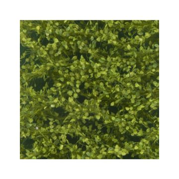 Silhouette Lombardy poplar foliage - Spring - ca. 50x31,5cm - H0 / TT (913-21H)