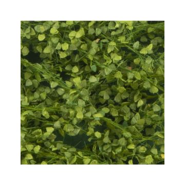Silhouette Lombardy poplar foliage - Spring - ca. 63x50cm - 1:45+ (913-31G)