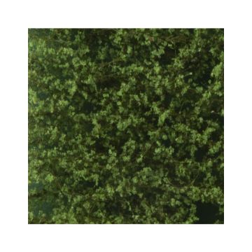 Silhouette Lombardy poplar foliage - Summer - ca. 15x4cm - N / Z (913-12S)