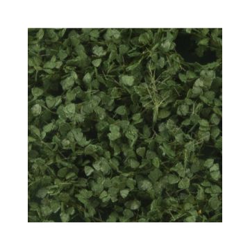 Silhouette Lombardy poplar foliage - Summer - ca. 27x16,5cm - 1:45+ (913-32)