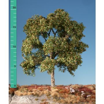 Silhouette Plane tree - Early fall - 0 (< ca. 8cm) (233-03)
