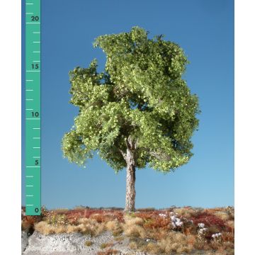 Silhouette Plane tree - Spring - 1 (ca. 10-13cm) - N / Z (233-11)