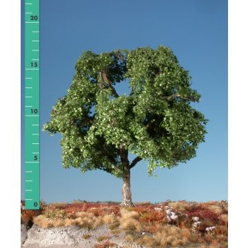 Silhouette Plane tree - Summer - 3 (ca. 22-29cm) - 1:45+ (233-32)
