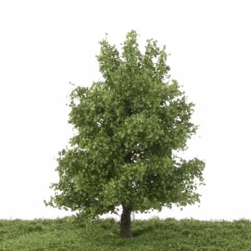 Silhouette Plane tree - Summer - 17-22cm (233-52)