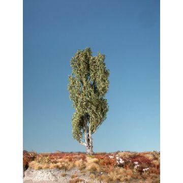 Silhouette Lombardy poplar - Early fall - 0 (< ca. 8cm) (113-03)