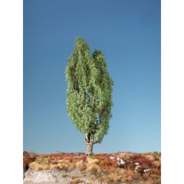 Silhouette Lombardy poplar - Summer - 2 (ca. 15-20cm) - H0 / TT (213-22)