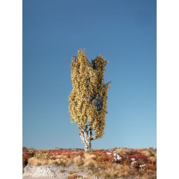 Silhouette Lombardy poplar - Late fall - 0 (< ca. 8cm) (213-04)
