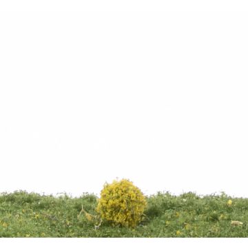 Silhouette Rhododendron - Yellow - ca. 2cm - H0 / TT (253-12)