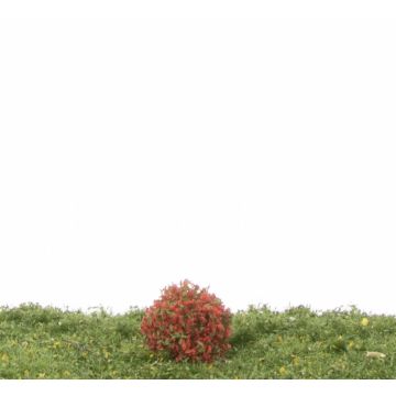 Silhouette Rhododendron - Red - ca. 2cm - H0 / TT (253-14)