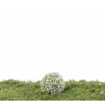 Silhouette Rhododendron - White - ca. 2cm - H0 / TT (253-11)