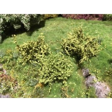 Silhouette Shrubs assortment - Spring - 0/1 - N / Z (352-12)