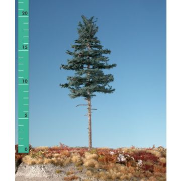 Silhouette Nordic fir high trunk - Summer - 0 (< ca. 8cm) (177-02)