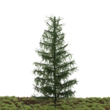 Silhouette Nordic fir - Summer - 17-22cm (276-52)