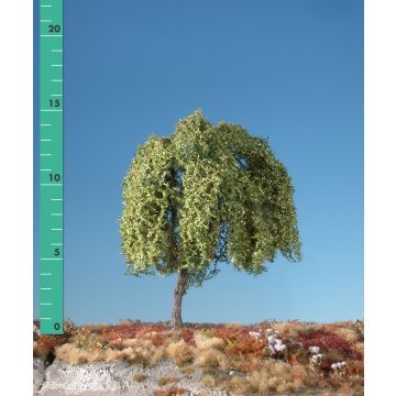 Silhouette Weeping willow - Early fall - 1 (ca. 10-13cm) - N / Z (240-13)
