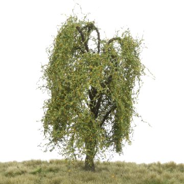Silhouette Weeping willow - Early fall - 0 (< ca. 8cm) (240-63)