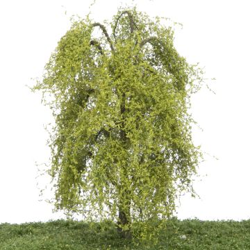 Silhouette Weeping willow - Spring - 0 (< ca. 8cm) (240-61)
