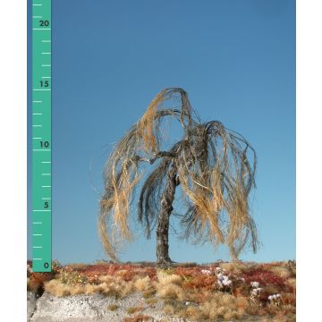 Silhouette Weeping willow - Barren - 2 (ca. 15-20cm) (240-20)