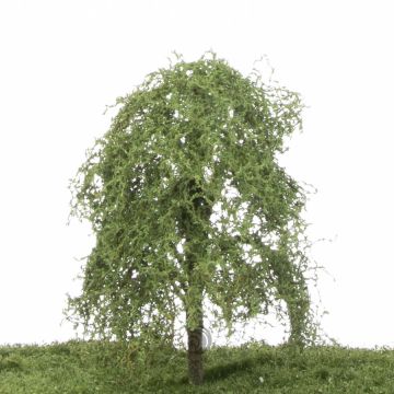 Silhouette Weeping willow - Summer - 12-16cm (240-42)