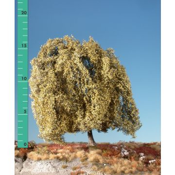 Silhouette Weeping willow - Late fall - 1 (ca. 10-13cm) - N / Z (240-14)