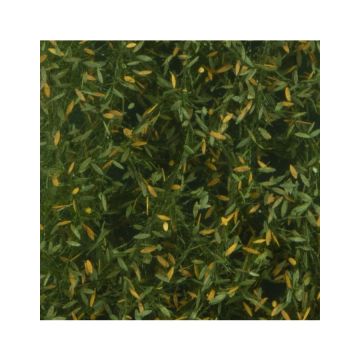 Silhouette Weeping willow foliage - Early fall - ca. 15x4cm - H0 / TT (940-23S)