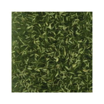 Silhouette Weeping willow foliage - Summer - ca. 27x16,5cm - H0 / TT (940-22)