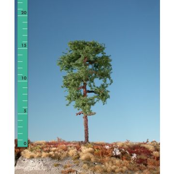 Silhouette Forest pine - Summer - ca. 37cm (370-42)