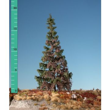 Silhouette Weathered green spruce - Summer - 0 (< ca. 8cm) (173-06)