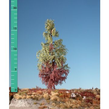 Silhouette Weathered larch - Early fall - 3 (ca. 22-29cm) (279-37)