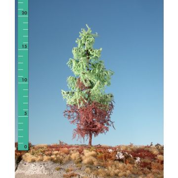 Silhouette Weathered larch - Spring - 1 (ca. 10-13cm) (279-15)