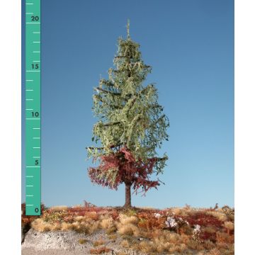 Silhouette Weathered larch - Summer - 1 (ca. 10-13cm) (279-16)