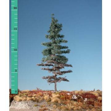 Silhouette Weathered Nordic fir - Summer - 0 (< ca. 8cm) (176-06)