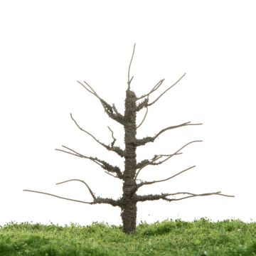 Unique Appletree - Trunk - 12-16cm (81-0226-01)