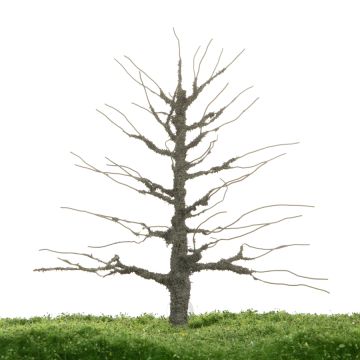 Unique Oak - Trunk - 17-22cm (81-0280-02)