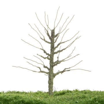 Unique Aspen - Trunk - 12-16cm (81-0215-01)