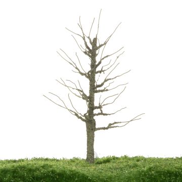 Unique Aspen - Trunk - 17-22cm (81-0215-02)