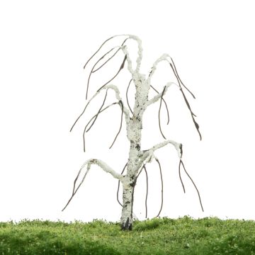 Unique Weeping birch - Trunk - 12-16cm (81-0211-01)