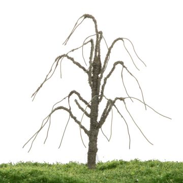 Unique Weeping willow - Trunk - 12-16cm (81-0240-01)